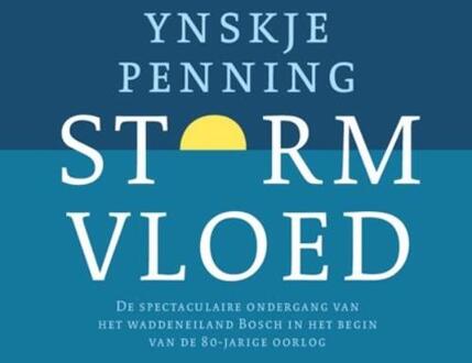 Stormvloed - Boek Ynskje Penning (9033005662)