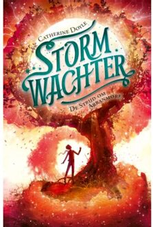 Stormwachter 3 -   De strijd om Arranmore