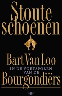 Stoute schoenen - Bart van Loo - ebook