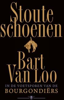 Stoute schoenen -  Bart van Loo (ISBN: 9789403133461)