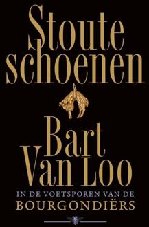 Stoute schoenen -  Bart van Loo (ISBN: 9789403147918)