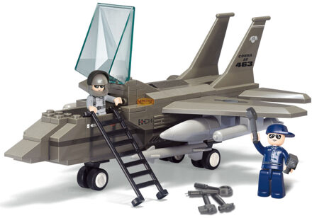 Straaljager 28,5 x 23,7 cm