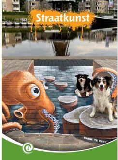 Straatkunst - Junior Informatie - Ingrid Nijkamp