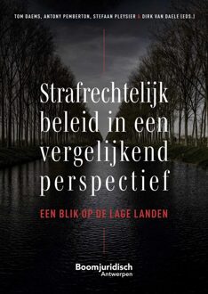 Strafrechtelijk beleid in een vergelijkend perspectie - - ebook