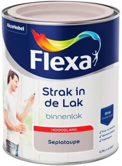 Strak in de Lak - Watergedragen - Hoogglans - sepiataupe - 0,75 liter