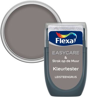 Strak op de Muur Muurverf Tester 2003 Leisteengrijs 30 ML