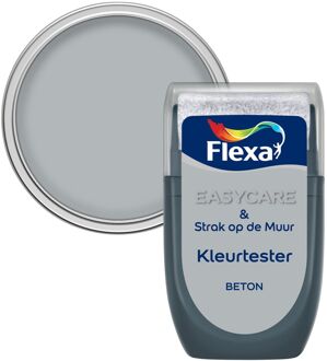 Strak op de Muur Muurverf Tester 2004 Beton 30 ML