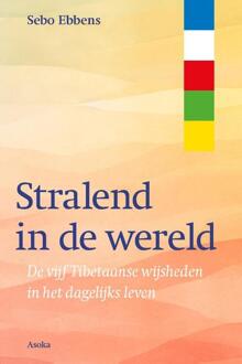 Stralend in de wereld -  Sebo Ebbens (ISBN: 9789056704483)