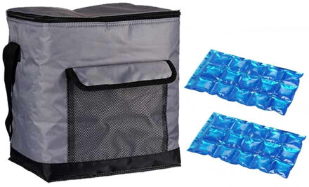 Strand/camping koeltas medium size - incl 2x koelelement - 31 x 23 x 33 cm - 2 vakken - grijs