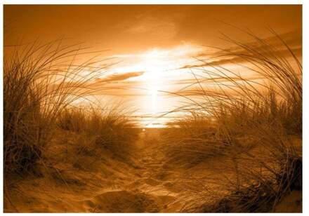 Strand Sepia Vlies Fotobehang 100x70cm