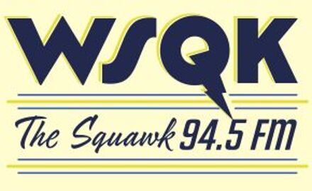 Stranger Things WSQK Unisex T-Shirt - Cream - L Crème