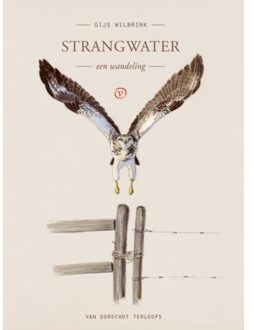 Strangwater - Terloops - Gijs Wilbrink