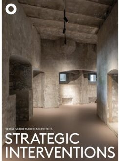 Strategic Interventions - Kirsten Hannema