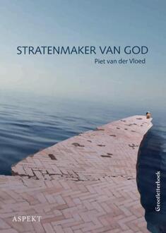 Stratenmaker van God - grootletterboek