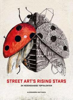 Street art's rising stars -  Alesandra Mattanza (ISBN: 9789036648028)