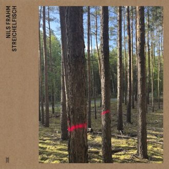 Streichelfisch - Nils Frahm