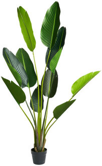 Strelitzia kunstplant - 150 cm