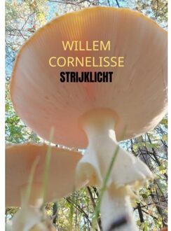 Strijklicht - Willem Cornelisse