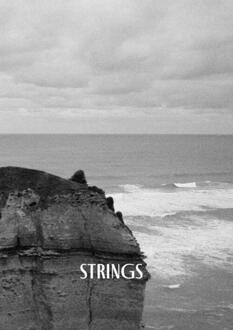 Strings -  D (ISBN: 9789465122762)