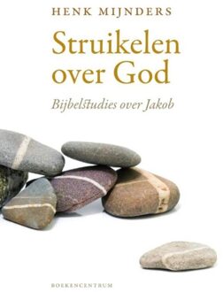 Struikelen over God - eBook Henk Mijnders (9023979133)