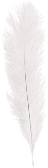 Struisvogelveer/sierveer - creme wit - 55-60 cm - decoratie/hobbymateriaal