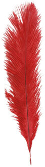 Struisvogelveer/sierveer - rood - 55-60 cm - decoratie/hobbymateriaal