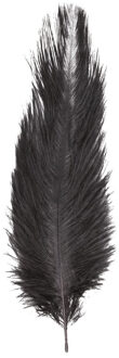 Struisvogelveer/sierveer - zwart - 55-60 cm - decoratie/hobbymateriaal