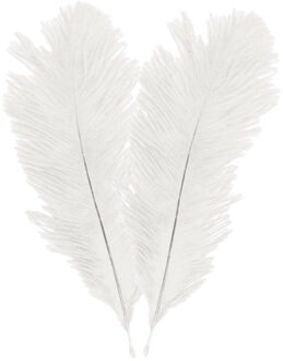 Struisvogelveren/sierveren - 2x - creme wit - 30-35 cm - decoratie/hobbymateriaal
