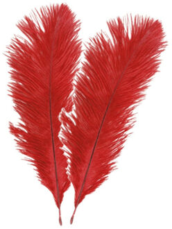 Struisvogelveren/sierveren - 2x - rood - 30-35 cm - decoratie/hobbymateriaal