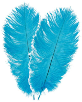 Struisvogelveren/sierveren - 2x - turquoise - 30-35 cm - decoratie/hobbymateriaal - Verkleedveren Blauw