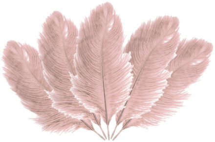 Struisvogelveren/sierveren - 5x - oud roze - 20-25 cm