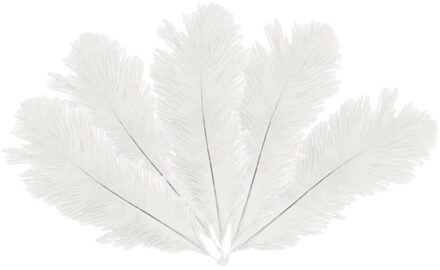 Struisvogelveren/sierveren - 5x - wit - 20-25 cm - decoratie/hobbymateriaal