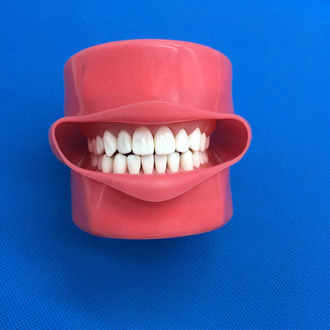 Student Learning Model Dental phantom head teeth model Silicone Mask with 28 Pieces Screw Fixed Teeth