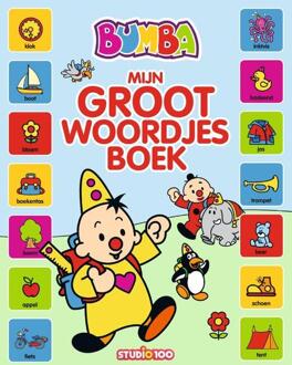 Studio 100 NV Mijn groot woordjesboek - Boek Gert Verhulst (9462773106)