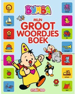 Studio 100 NV Mijn groot woordjesboek - Boek Gert Verhulst (9462773106)