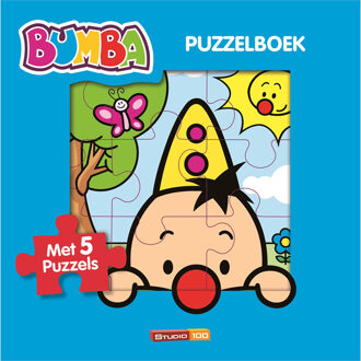 Studio 100 NV Puzzelboek - Boek Gert Verhulst (9462770042)