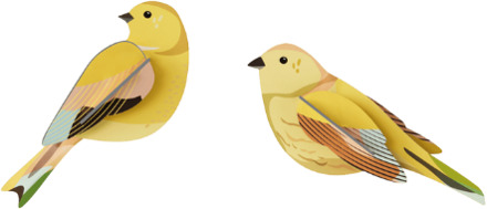 Studio ROOF wanddecoratie Citrinella Pair Multicolor