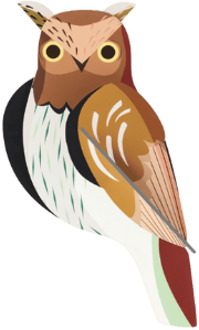 Studio ROOF wanddecoratie Owl Multicolor