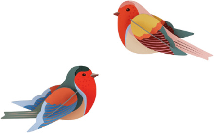 Studio ROOF wanddecoratie vogels Robins Multicolor
