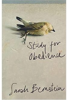 Study For Obedience - Sarah Bernstein