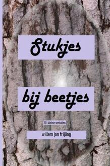 Stukjes Bij Beetjes - Willem Jan Frijling