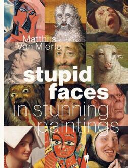 Stupid Faces in Stunning Paintings -  Matthijs van Mierlo (ISBN: 9789493409729)