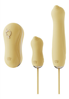 Sucking Vibrator with Pump and Different Attachments