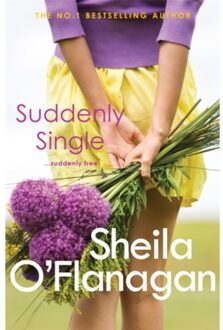Suddenly Single - Sheila O'Flanagan