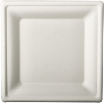 Suikerriet lunchbordjes - 36x stuks - 20 cm - wit - biologisch afbreekbaar - Wegwerp