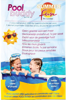 Summer Fun 10x zakjes Pool Buddy zwembad onderhoud tegen gladde zwembadbodem - Zwembadreinigingsmiddelen