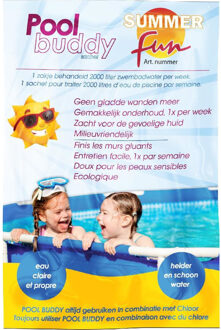 Summer Fun 4x zakjes Pool Buddy zwembad onderhoud tegen gladde zwembadbodem Multi