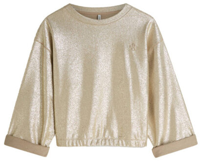 Summum Sweat 3s5291-30770 - maat M Bruin