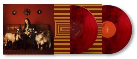 Sun Capricorn Sun - Tsha