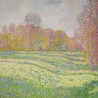 Sun Outside My Window - Strawberry Guy